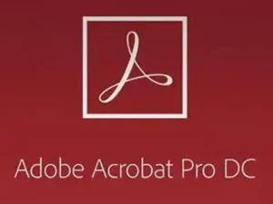 Adobe Acrobat Pro for Teams - 1 User License / Level 1 / Multi European Languages|translinkonline.com