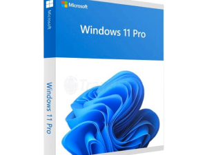 Microsoft Windows 11 Professional - 1 User License (64-Bit, DVD) | Buy Online in Kuwait – TranslinkOnline