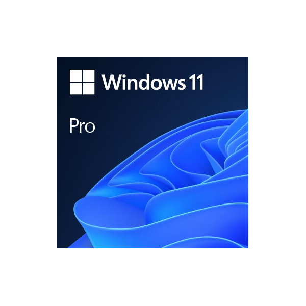 Windows 11 Pro 2